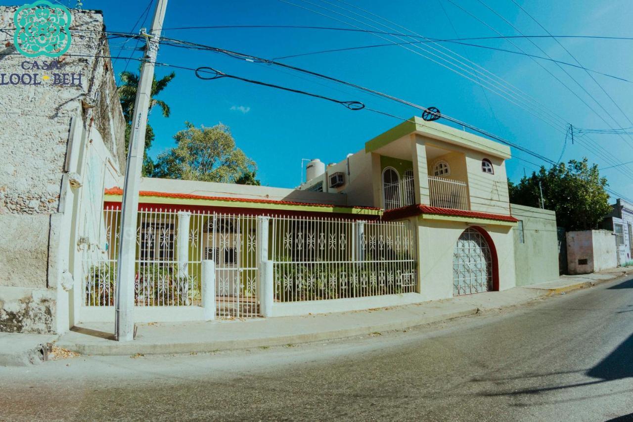 Casa Lool Beh Panzió Mérida Kültér fotó